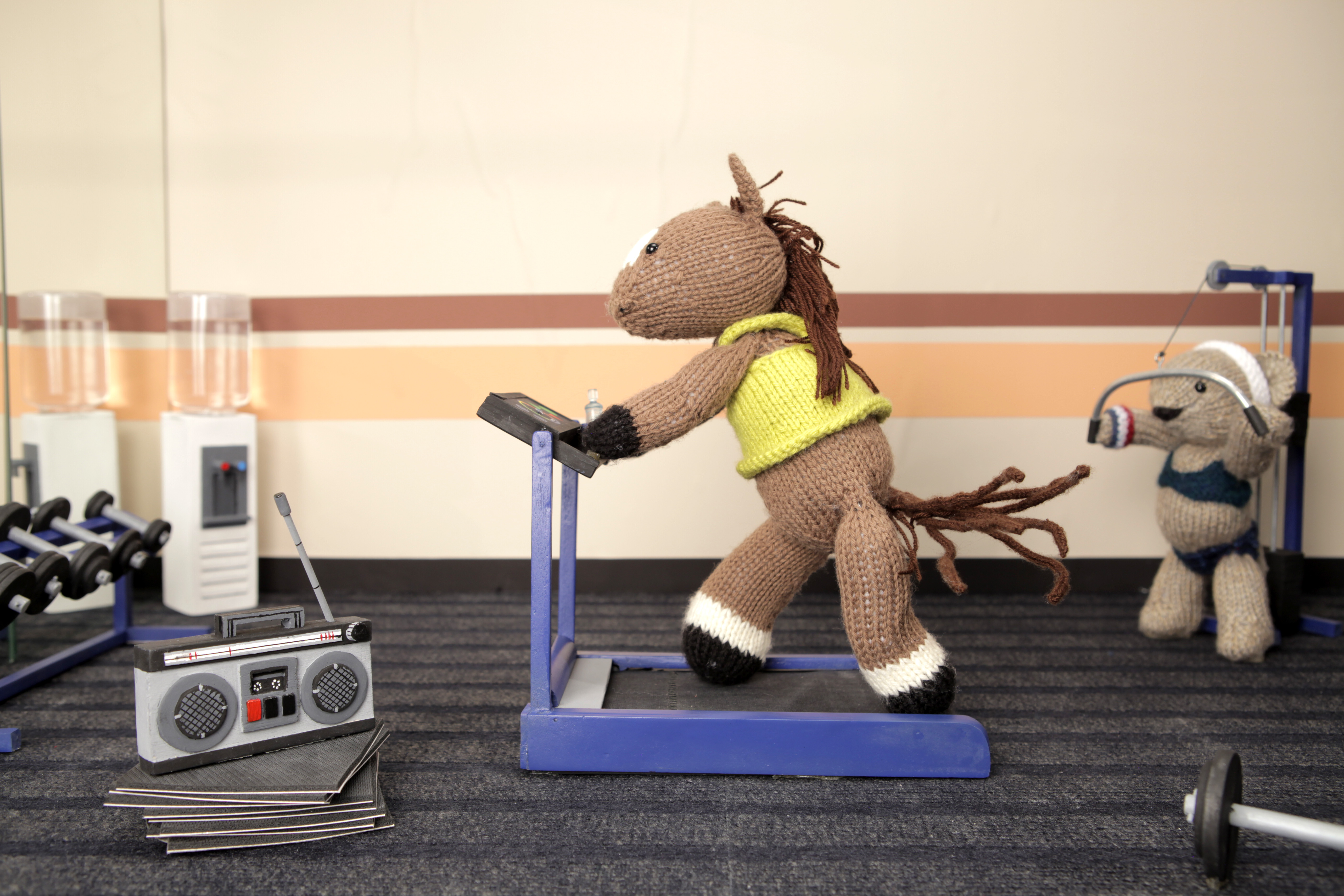 January People: Horse goes to the gym